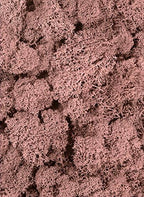 SuperMoss (21791) Reindeer Moss – Soft Preserved Moss for Home Decor, Crafts, Terrariums, Floral Design, and Wedding Decorations, 2,588 cu in, Dusty Rose - Image 2