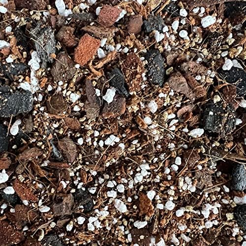 rePotme Philodendron and Aroid Imperial Houseplant Potting Soil Mix - Junior Bag (4 Quarts) - Image 5