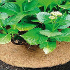 Coconut Mulch Mats, Coconut Mulch Cover Plant Coir Mat for Gardening 35cm/40cm(35cm) - Image 3