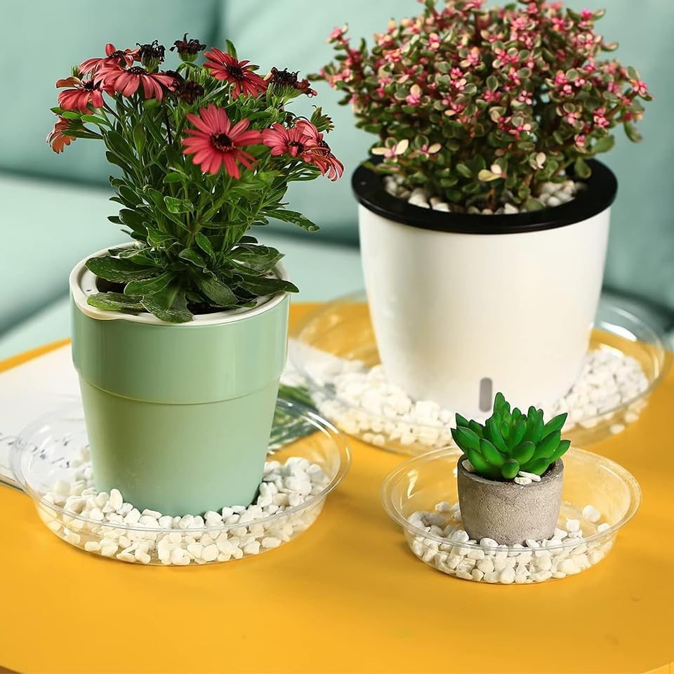 60 Packs Clear Plant Saucers for Indoor Outdoor Use 4/6/8/10/12/14 Inches Heavy Duty Plastic Plant Trays for Planter Bulk Flower Pot Drip Trays to Catch Water, Round Transparent - Image 2