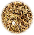 Premium Grade Sphagnum Moss by Gardenera - 20 Quart - Organic Hand Mixed New Zealand Long Fibered Sphagnum Moss Orchid - 4 Bags of 5 Quart - Image 2