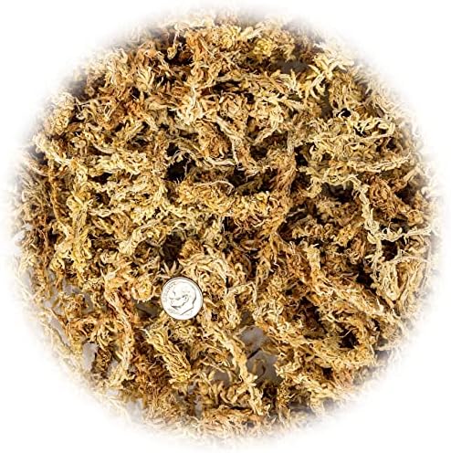 Premium New Zealand Sphagnum Moss by Gardenera - Organic Hand Mixed Long Fibered Sphagnum Moss Orchid - 5 Quart - Image 2
