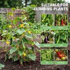 DoCred 39.4" H Cucumber Trellis, 2 Pack Foldable A Frame Garden Trellis - Image 3