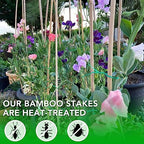 SWANGSA 55 Pack Bamboo Stakes for Plant 5 Feet(57.5inch) Bamboo Sticks for Garden Plant Support Stakes Poles for Tomatoes, Beans, Flowers, Trees, Indoor and Outdoor Climbing Plants - Image 5