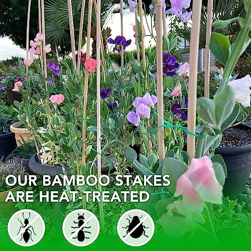 SWANGSA 40 Pack Bamboo Stakes for Plant 3 Feet,Bamboo Sticks Plant Support Garden Stakes Poles with 200pcs Twist Ties for Tomatoes, Beans, Flowers, Potted Plants, Indoor and Outdoor Climbing Plants - Image 4