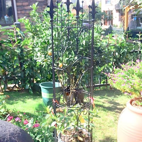 Thealyn Garden Trellis 2 Pack 72'' H x 12'' W Metal Plant Trellis - Image 5