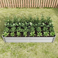 Metal Raised Garden Bed for Outdoor Vegetable & Flower Gardening: 7.6x3.7ft Large Galvanized Steel Planter Box, Easy Assembly Deep Root Garden Beds for Backyard, Patio (Silver with 6x3x1ft) by Unknown