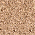 45lb Maifanitum Stones for Succulent Cactus Bonsai Decorative Rocks-Indoor Plants Soil Covers,Horticultural Gravel, Potting Pebbles for Terrarium, Fairy Gardening, Top Dressing by CJGQ