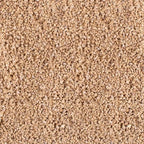 45lb Maifanitum Stones for Succulent Cactus Bonsai Decorative Rocks-Indoor Plants Soil Covers,Horticultural Gravel, Potting Pebbles for Terrarium, Fairy Gardening, Top Dressing by CJGQ