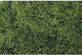 1 lb Bag Preserved & Dyed Green Spanish Moss (0905301704) by Unknown