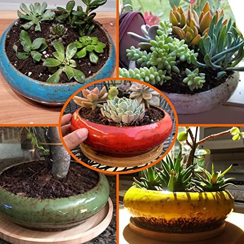 ARTKETTY Succulent Pots - 2 PCS Ceramic Bonsai Pots with Drainage Tray, 7.3 Inch Large Plant Pots Shallow Succulent Planters for Indoor Plants Decorative Cactus Flower Planter Bowl - Image 5