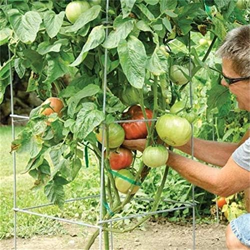 46" Height 12" Width 2PCS Galvanized Square Folding Tomato Cage,Plant Support Stake Tower - Image 2
