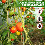 60Pcs Bamboo Stakes for Plant 4 Feet, Garden Bamboo Plant Stakes for Plants Support, Bamboo Sticks for Climbing Plants, Tomatoes, Sunflowers, Beans, Potted Plants, Trees - Image 4