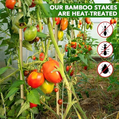 60Pcs Bamboo Stakes for Plant 4 Feet, Garden Bamboo Plant Stakes for Plants Support, Bamboo Sticks for Climbing Plants, Tomatoes, Sunflowers, Beans, Potted Plants, Trees - Image 4