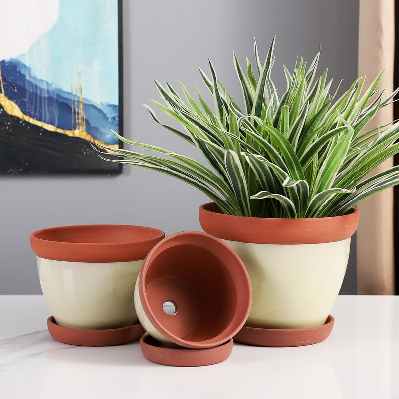 Yishang Glazed Terracotta Pots with Saucers, Set of 3, 5", 6", and 7" Sizes, Ceramic Clay Planter Pots with Drainage Holes - Yellow - Image 7