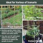 30Pcs / 7ft Bamboo Plant Stakes for Indoor Outdoor Plants, Garden Plant Support Sticks, Poles for Tomato Vegetables Beans Trees Potted Climbing Plants(0.32''-0.4'') - Image 4