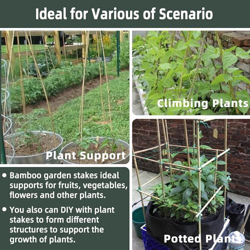50Pcs / 3ft Bamboo Plant Stakes for Indoor Outdoor Plants, Garden Plant Support Sticks, Poles for Tomato Vegetables Beans Trees Potted Climbing Plants(0.32''-0.4'') - Image 4