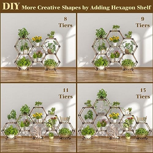 Tikea Hexagonal Indoor Outdoor Plant Stand, 7-Tier Wooden Plant Shelf - Image 6