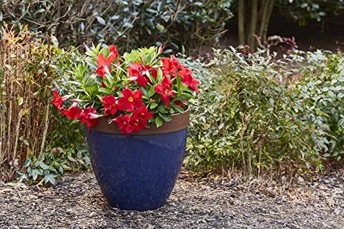 Southern Patio Hornsby Resin Outdoor Planter with Drainage Hole and Plug, Navy Blue - Image 3