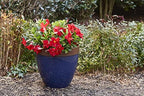 Southern Patio Hornsby Resin Outdoor Planter with Drainage Hole and Plug, Navy Blue - Image 3