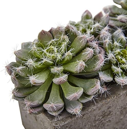 Nearly Natural Succulent Garden with Textured Concrete Planter - Image 4