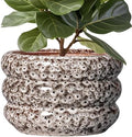 SQOWL Ceramic Flower Pots - 13.5 Inch Plant Pot with Drainage Hole, Large Ceramic Planter for Indoor Plants, Round Modern Planter Outdoor, Porch Home House Decor, Plant Lover Gifts, White by SQOWL