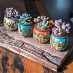 3 Inch Hand Painted Succulent Cactus Plant Pot Clay Flower Pot Planter Container Floral Design with Drainage Hole Bamboo Trays Pack of 4 (Pear Blossom) - Image 4