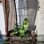 RIFNY Cucumber Trellis for Raised Bed, Garden Trellis 16.5 x 40 Inch, Black - Image 2