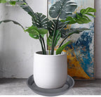 VUWEZ 6 Pack of 25 inch Plant Saucer, Plant Tray 25 Inch Round, Plant Saucers for Indoors, Plant Trays for Pots, Flower Pot Saucers, Pot Saucers for Planter 19-26" (25", Gray) - Image 4