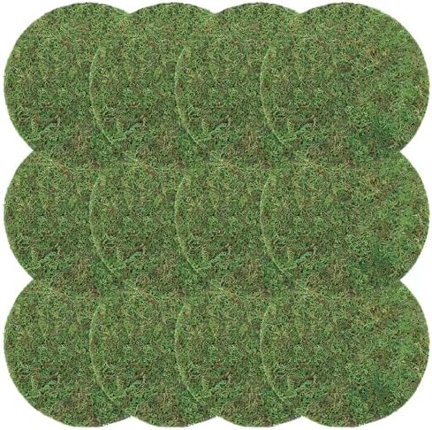 Canlierr 12 Pack Round Dried Moss Mats Sheet for Crafts Decor, 10 Inch by Canlierr