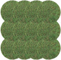 Canlierr 12 Pack Round Dried Moss Mats Sheet for Crafts Decor, 10 Inch by Canlierr