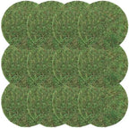 Canlierr 12 Pack Round Dried Moss Mats Sheet for Crafts Decor, 10 Inch by Canlierr