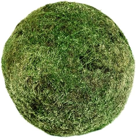 SuperMoss (21679 Moss Balls – Preserved Decorative Moss Balls for Home Décor, Vase Fillers, Centerpieces, Terrarium & Wedding Décor, Natural Green Moss Décor Balls, 18", Fresh Green by SuperMoss