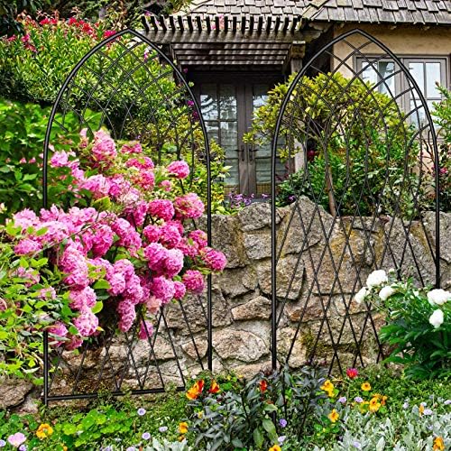 Amagabeli 2 Pack Large Garden Trellis for Climbing Plants 75” x 31” Heavy Duty Rustproof Black Iron Plant Trellis for Potted Plants Support Tall Wall Metal Trellis for Rose Vegetables Cucumber GT05 - Image 5