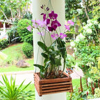 Set of 3 Strong Wooden Orchid Baskets with Hangers, Vanda Baskets for Outside - Image 3