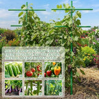2 Set 7 ft Fiberglass Garden Stakes Kit for Climbing Plants - Image 4