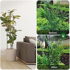 32 inch Plant Support Stakes, 10 Pack Half Round Metal Garden Plant Stake - Image 6