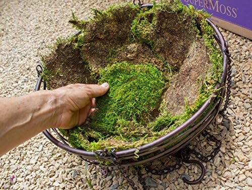 SuperMoss (21508) Preserved Sheet Moss, Fresh Green, 5 Pounds - Image 2