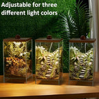 Large Glass Plant Terrarium: 13.7H+7.8W Terrarium with Light - Image 3
