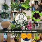 Farmer’s Secret Fruit & Bloom Booster Fertilizer - Super Concentrated - Boosts Flowering and Yield on All Varieties of Fruits, Vegetables and Flowers - Formulated for Late Summer & Early Fall (32oz) - Image 5