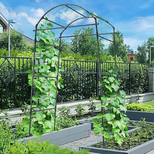 FOLLOOK Garden Arch Trellis for Climbing Plants Outdoor, 6.7ft, Black - Image 6
