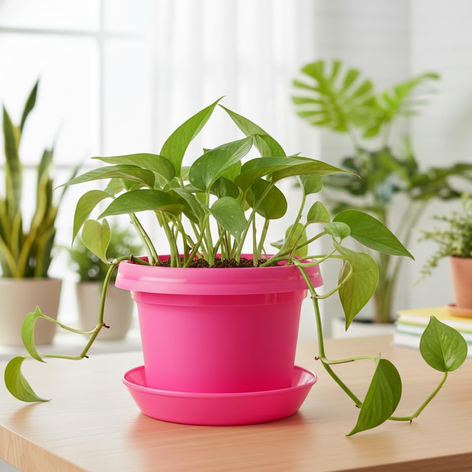 Flower Pots with Saucers, 9 inch, Pink, Case of 5 - Image 4