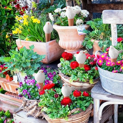 Sliner 8 Pcs Bird Plant Self Watering Globes Terracotta Spikes, White - Image 4