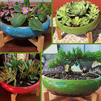 Bonsai Pots, 10 Inch Ceramic Succulent Pots with Drainage, Large Plant Pots - Image 6