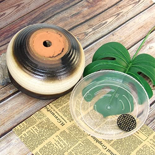 8 Inch Succulent Pot with Drainage and Saucer Glazed Terracotta Round Ceramic Succulent Planter Cactus Bonsai Plant Pot (White and Black) - Image 3