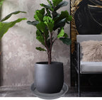 VUWEZ 6 Pack of Plant Saucer 16 Inch, Plant Tray Round, Plastic Flower Plant Trays for Pots, Plant Saucers for Indoors 16", Plant Pot Saucers, Planter Tray for Planter 13-16" (16", Gray) - Image 3