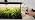Epic Gardening Seed Starting Grow Light - Full-Spectrum LED - Standard - Image 7