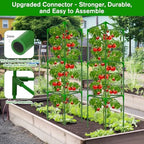 6 Pack Tomato Cages for Garden, Tomato Cage Trellis, Garden Cage Heavy Duty - Image 4