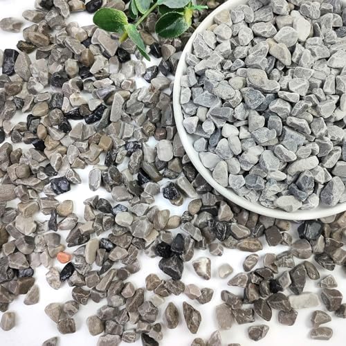 10lbs Grey Pebbles for Landscaping, 3/8inch Small Rocks for Succulent Cactus Plants, Natural Polished Pebbles, River Rocks for Plants, Vases, Garden by SHIZWU