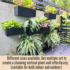 LaLaGreen Wall Planters for Outdoor (2 Pack, 14 Inch) Black Self Watering System Hanging Plant Box Flower Pot, Rectangular Wall Mount Indoor Vertical Living Garden Decoration Window Sill Herb Trendy - Image 3